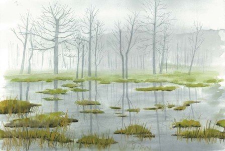 countrymarsh.jpg